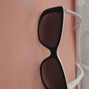 Brighton Sunglasses